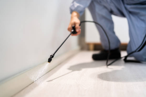 Licensed Pest Control service in Union Beach, NJ - Show Me Pest Control